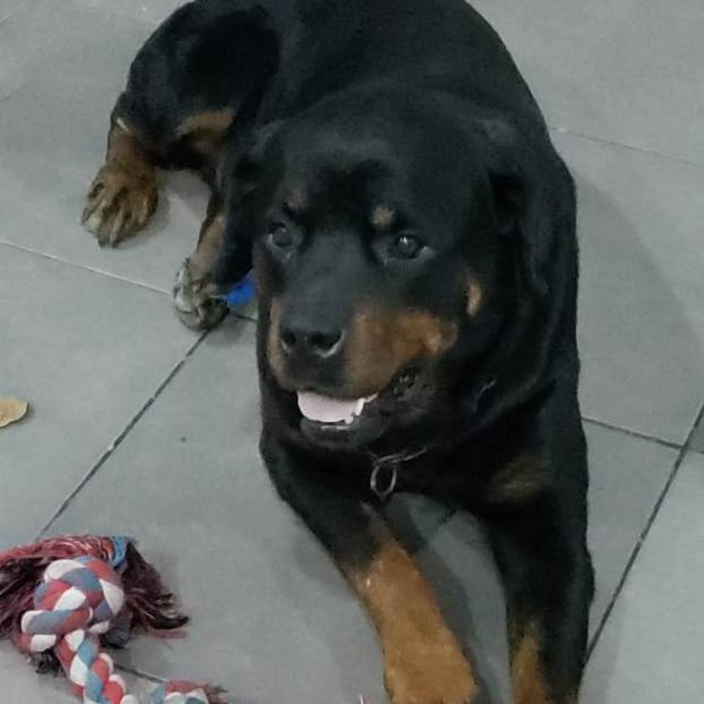 Meet your Posher, Fernando